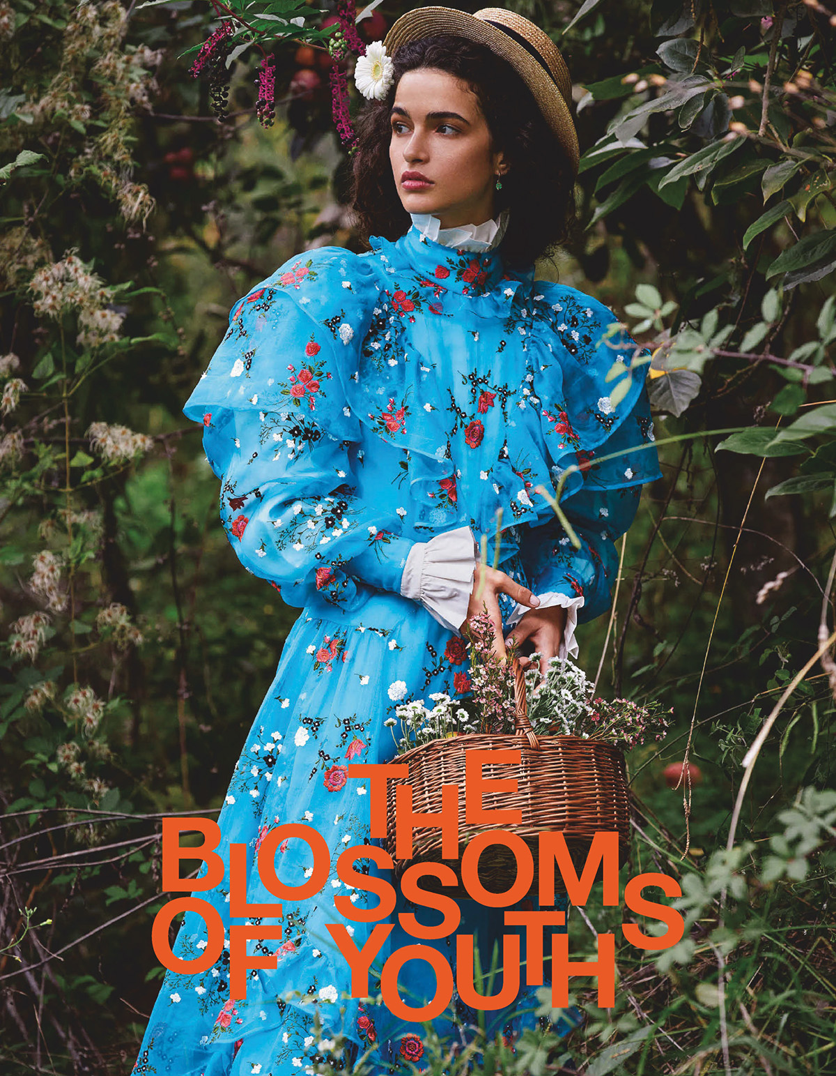 The Blossoms Of Youth Editorial